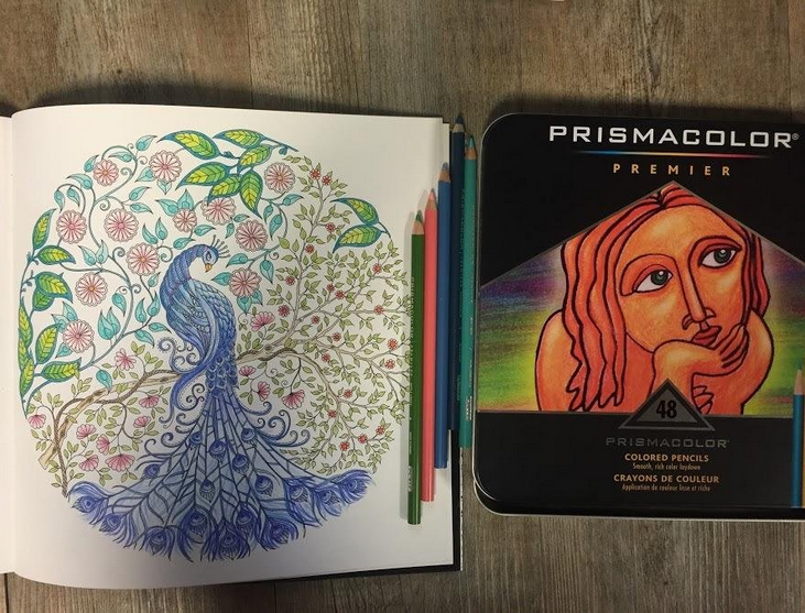 Prismacolor Premier 48色彩色铅笔礼盒