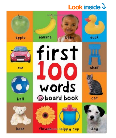 First 100 Words 1-3岁幼儿图书 Board book