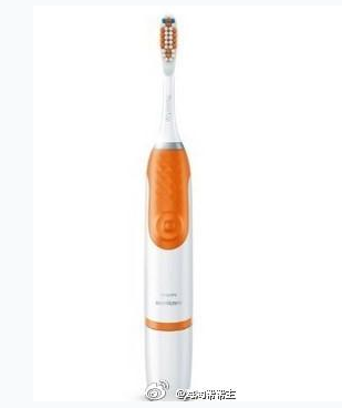 Philips 飞利浦 Sonicare Powerup HX3631/03 声波震动电动牙刷 