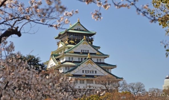 <p>大阪城也叫“金城”或“锦城”，是大阪最著名的旅游观光景点，也是大阪的象征。它位于大阪市中央区的大阪城公园内，与名古屋城、熊本城并列为日本历史上的三大名城。丰臣秀吉统一日本列岛后，于1583年开始修建大阪城来彰显自己的权力，后数次被摧毁，现在看到的是1931年重建的。<br /><br />整个大阪城分为内城、中城与外城（即本丸、二之丸、三之丸），气势恢宏的城门、高大陡峭的城墙及内外两道宽阔的护城河十分壮观，其他任何一座日本古城都无法与其相比。尤其护城河上长达12公里的城墙，用大量的巨石堆砌而成，极其雄壮，令大阪城固若金汤。<br /><br /><strong>天守阁</strong><br />中央的<a href=