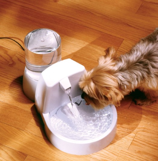 宠物专用饮水机