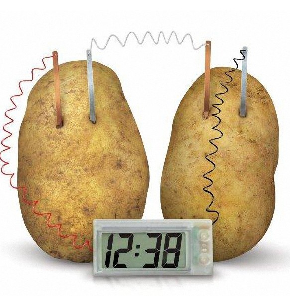 果蔬环保供电土豆发电能源数字时钟