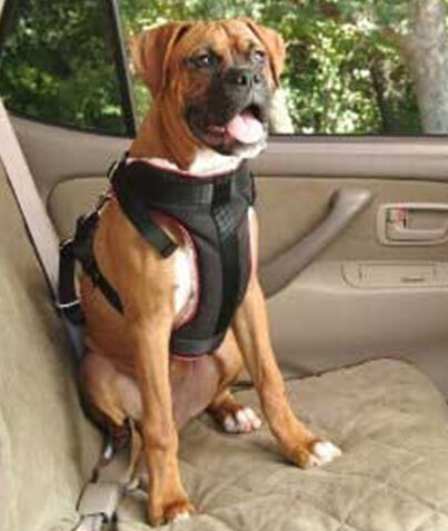 狗狗用汽车安全带