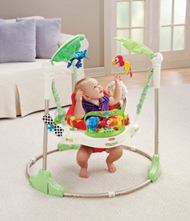 直邮好价！【Fisher Price 费雪 Rainforest Jumperoo 热带雨林蹦跳欢乐园】$76.88，直邮到手约914元。  