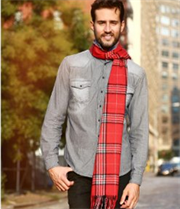 好价！【Phenix Cashmere Tartan Plaid 男士羊绒围巾】