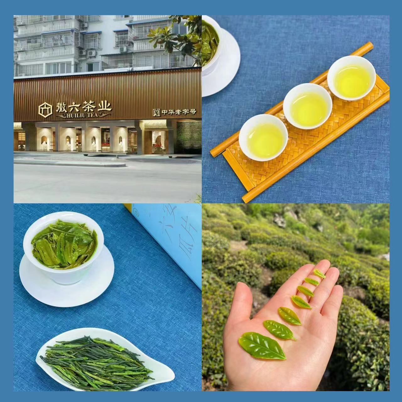 微信图片_20240531143644.jpg