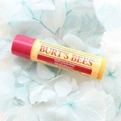 镇店之宝！#亚马逊海外购#Burt's Bees 小蜜蜂 经典护唇膏 4.25g*4支