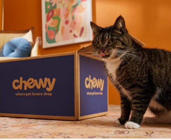 【Chewy福利周】猫粮、玩具、零食限时75折！