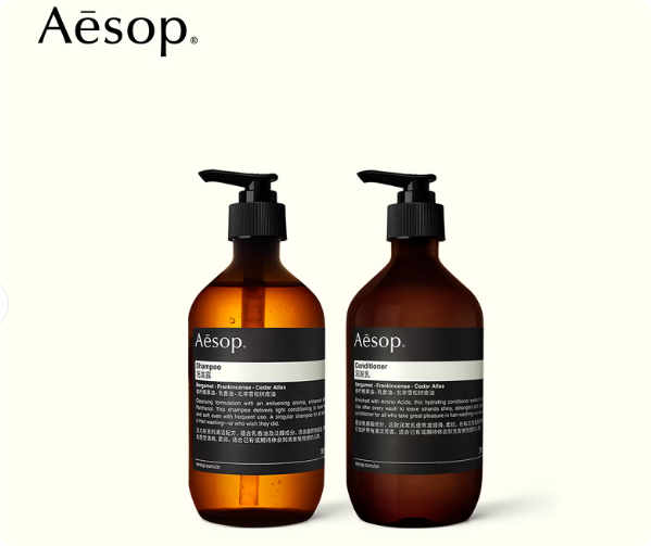 Aesop伊索 头发护理套组：洗发露500mL+润发乳500mL